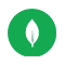 Language Icon
