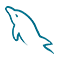 Language Icon